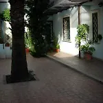 Lodi